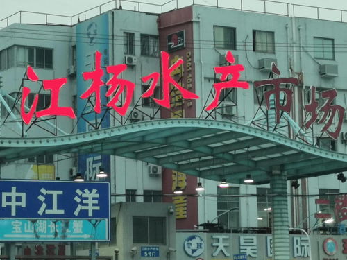 中國國際水產(chǎn)博覽會走進(jìn)上海江楊水產(chǎn)市場與廈門商貿(mào)合作新篇章